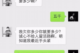 沙洋融资清欠服务